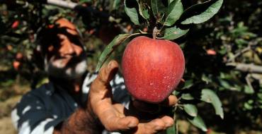 Les arboriculteurs font du Jus de pomme avec les écoliers
