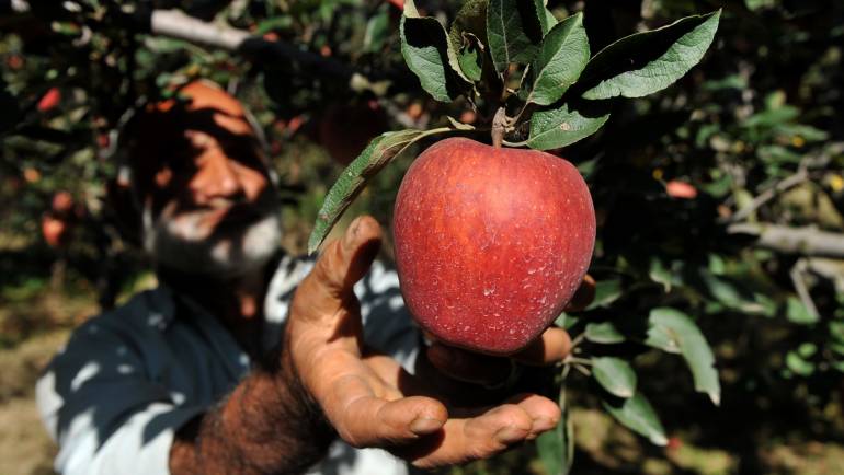 Les arboriculteurs font du Jus de pomme avec les écoliers
