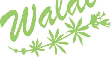 Waldifest – 5 Juin 2022