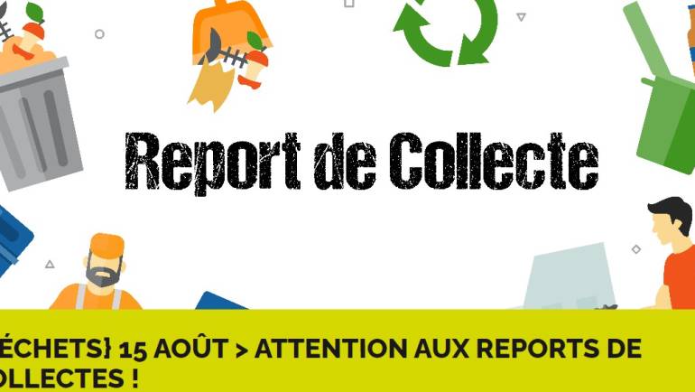 Report collecte multiflux