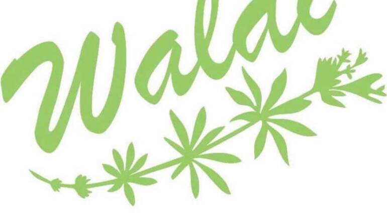 29 septembre soirée de remerciement pour ceux qui aident au Waldifest