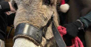 Fête de Noël à l&rsquo;EHPAD