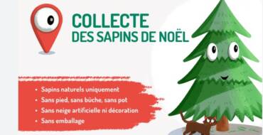 17 et 18 janvier – ramassage sapins
