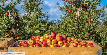 Les Arbos font la Fête le 13 Octobre