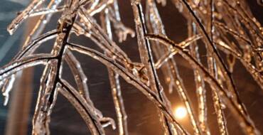 Balade Gourmande de Noël – sur inscription