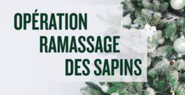 Ramassage des Sapins de Noël