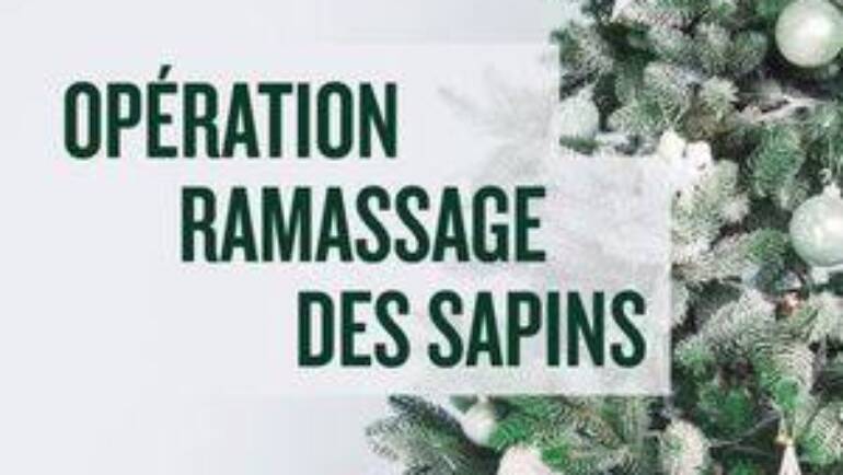 Ramassage des Sapins de Noël