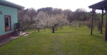 Arbo – carte de membres